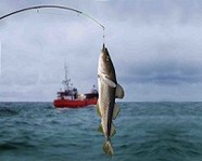 Сегодня – Всемирный день рыболовства