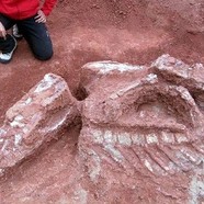 Найдены останки самых древних динозавров на Земле
