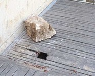 Крупный камень выпал из Стены Плача в Иерусалиме