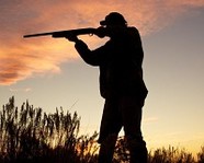 В Волгограде охотника оштрафовали и отобрали оружие