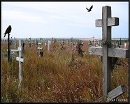 В Волгограде могут появиться частные кладбища