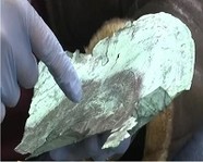 Во Флориде обнаружена маска из внеземного металла