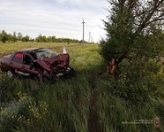 Пьяный водитель вылетел с дороги и врезался в дерево
