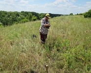 В Волгоградской области нашли редкий вид лука