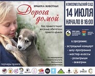 В Волгограде пройдет ярмарка животных «Дорога домой»
