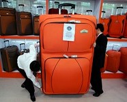 В России ужесточат правила провоза багажа через границу