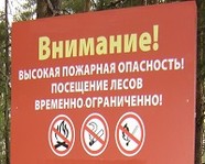 В Волгоградской области запретили поездки в лес до 29 августа