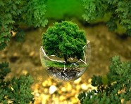 «Сдай макулатуру — спаси дерево» снова в Волгограде