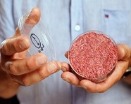 В России создали искусственное мясо