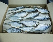Почему вяленую рыбы купить в Волгограде лучше от рыбокомбината Профиш