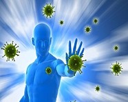 Как можно поддержать иммунитет летом?