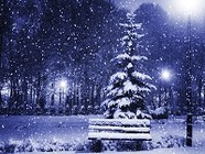 Волгоградцам пообещали на Рождество снегопад