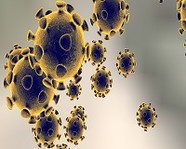 Коронавирус стал самым затратным из всех эпидемий XXI века