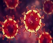 В Волгограде выявлен первый заболевший коронавирусом