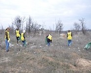 Волгоградские активисты убрали мусор на Лысой горе