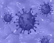 В Австралии нашли препарат, уничтожающий коронавирус за 2 дня