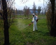 Водоёмы в Волгоградской области обрабатывают от комаров и клещей