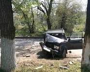 В Волгограде пенсионер погиб, врезавшись на машине в дерево