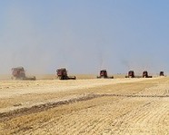 Аграрии региона собрали уже 3 млн тонн зерна