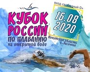 Семеро волгоградских пловцов отправятся на Кубок России