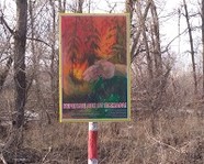 В Волгоградской области продлили запрет на посещение лесов