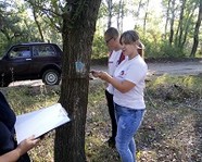 Школьникам под Волгоградом рассказали, как лечат лес
