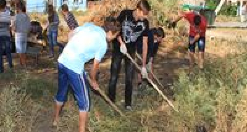 Почти 8 тысяч волгоградских подростков получили летом работу