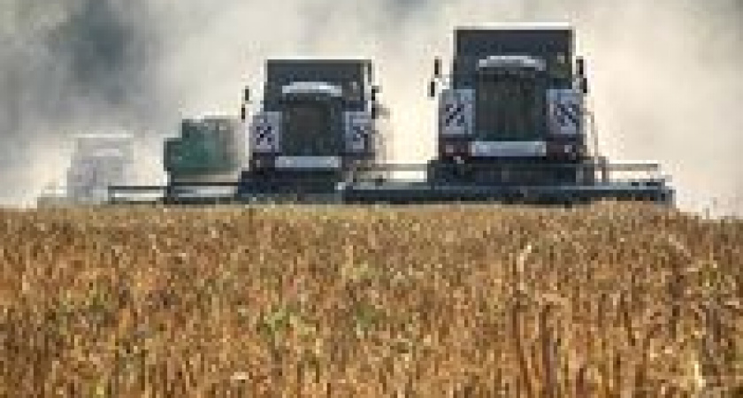 В России хотят полностью запретить иностранцам владеть землей