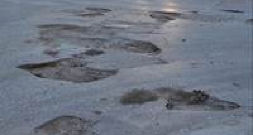 В Волгограде ухабы и ямы сняли с высоты птичьего полета