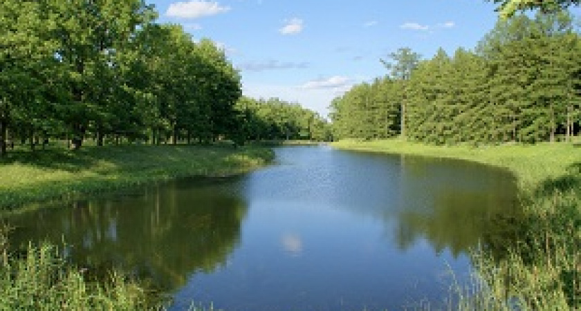 В России начались единые дни защиты рек и водоемов