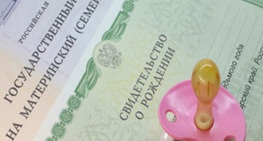 В России усилят контроль за расходованием маткапитала