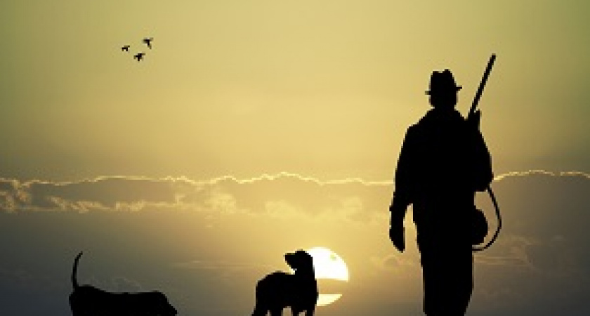 За выдачу охотничьего билета предлагают ввести пошлину