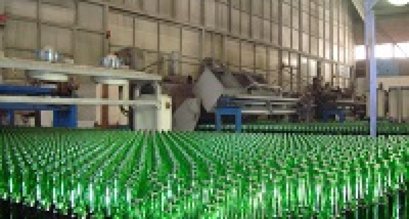 В магазины снова можно будет сдавать бутылки?