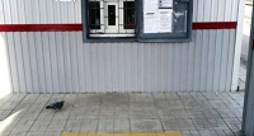 На вокзалах и платформах появилась разметка для соблюдения дистанции