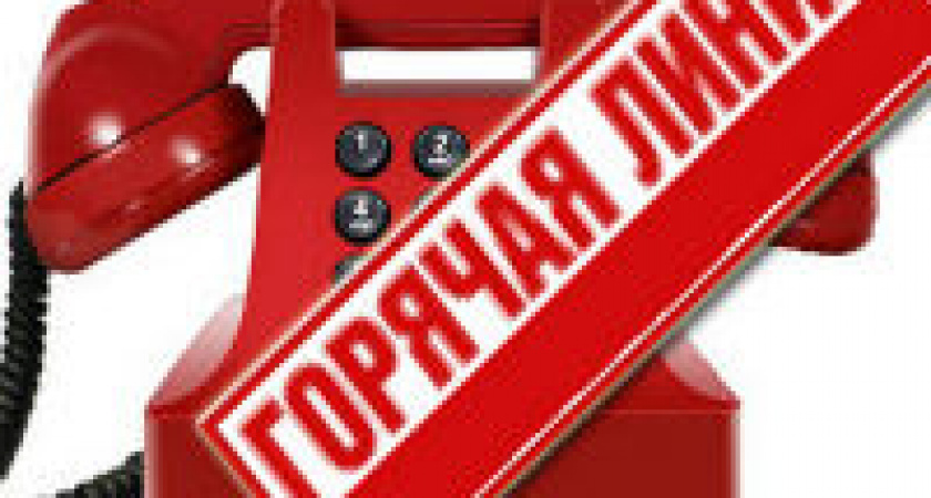 Выпускники Волгограда смогут задать вопросы о ЕГЭ по «горячей линии»